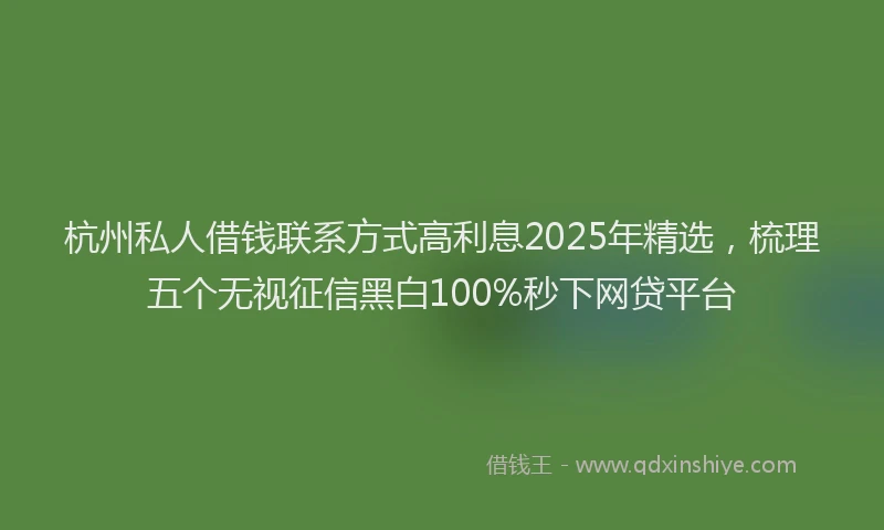 杭州私人借钱联系方式高利息2025年精选，梳理五个无视征信黑白100%秒下网贷平台