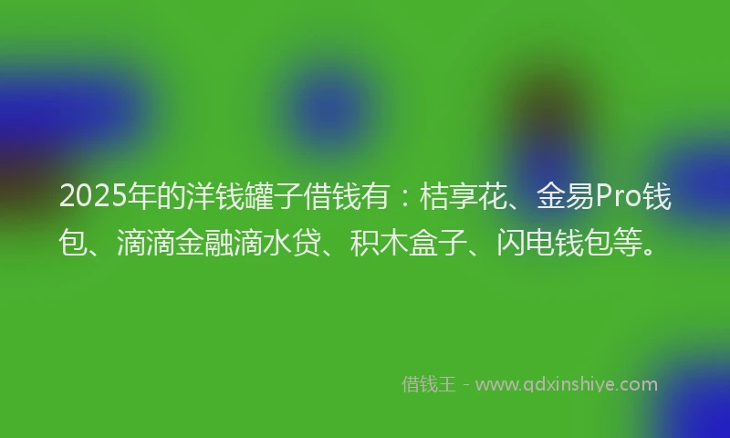 2025年的洋钱罐子借钱有：桔享花、金易Pro钱包、滴滴金融滴水贷、积木盒子、闪电钱包等。