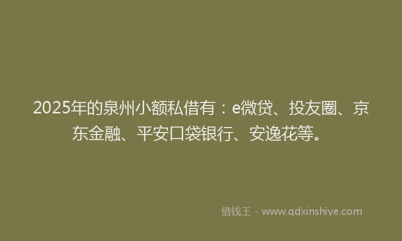 2025年的泉州小额私借有：e微贷、投友圈、京东金融、平安口袋银行、安逸花等。
