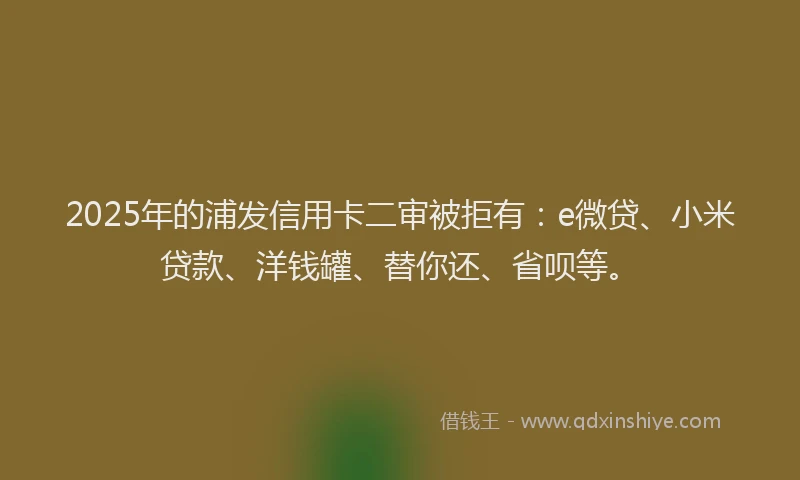 2025年的浦发信用卡二审被拒有：e微贷、小米贷款、洋钱罐、替你还、省呗等。