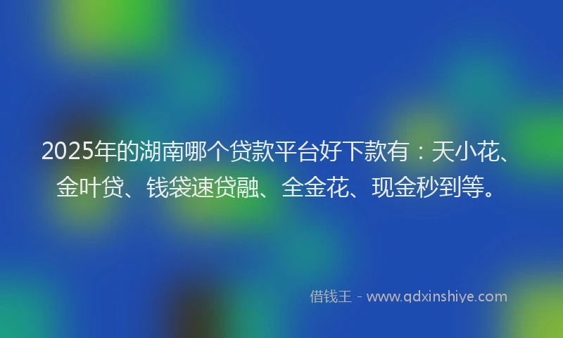 2025年的湖南哪个贷款平台好下款有：天小花、金叶贷、钱袋速贷融、全金花、现金秒到等。
