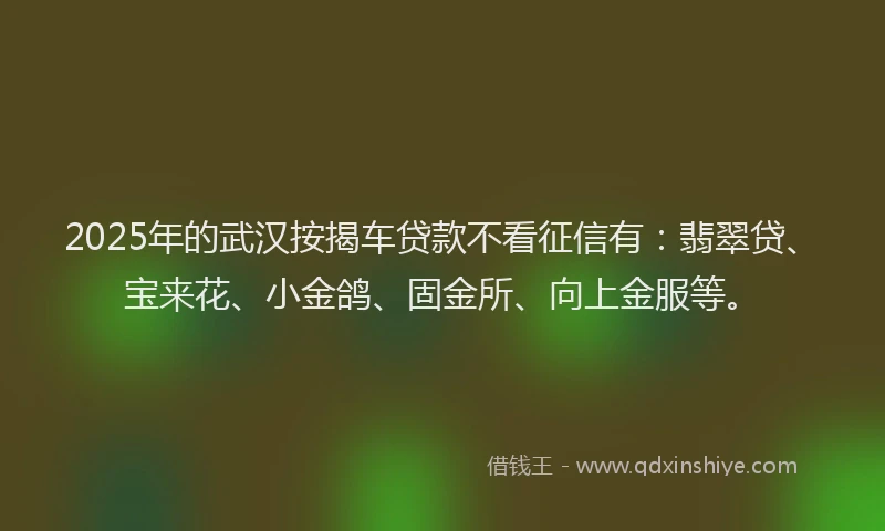 2025年的武汉按揭车贷款不看征信有：翡翠贷、宝来花、小金鸽、固金所、向上金服等。