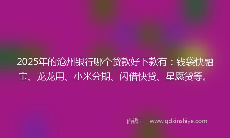 2025年的沧州银行哪个贷款好下款有：钱袋快融宝、龙龙用、小米分期、闪借快贷、星愿贷等。