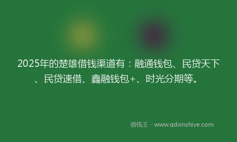 2025年的楚雄借钱渠道有：融通钱包、民贷天下、民贷速借、鑫融钱包+、时光分期等。