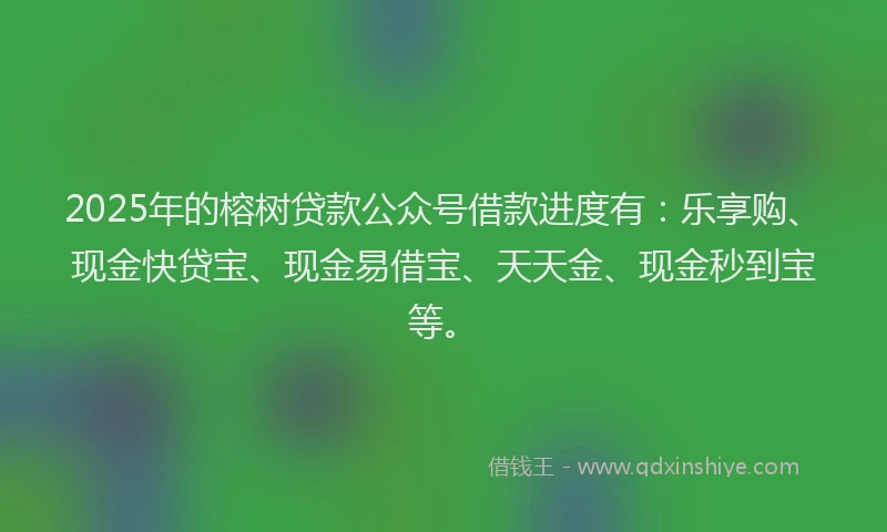 2025年的榕树贷款公众号借款进度有：乐享购、现金快贷宝、现金易借宝、天天金、现金秒到宝等。