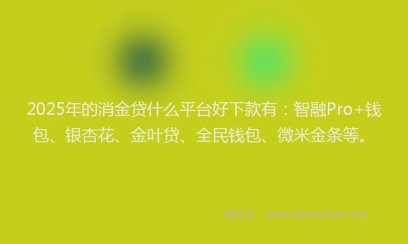 2025年的消金贷什么平台好下款有：智融Pro+钱包、银杏花、金叶贷、全民钱包、微米金条等。