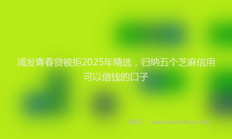 浦发青春贷被拒2025年精选，归纳五个芝麻信用可以借钱的口子