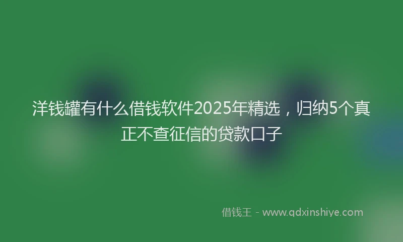 洋钱罐有什么借钱软件2025年精选，归纳5个真正不查征信的贷款口子