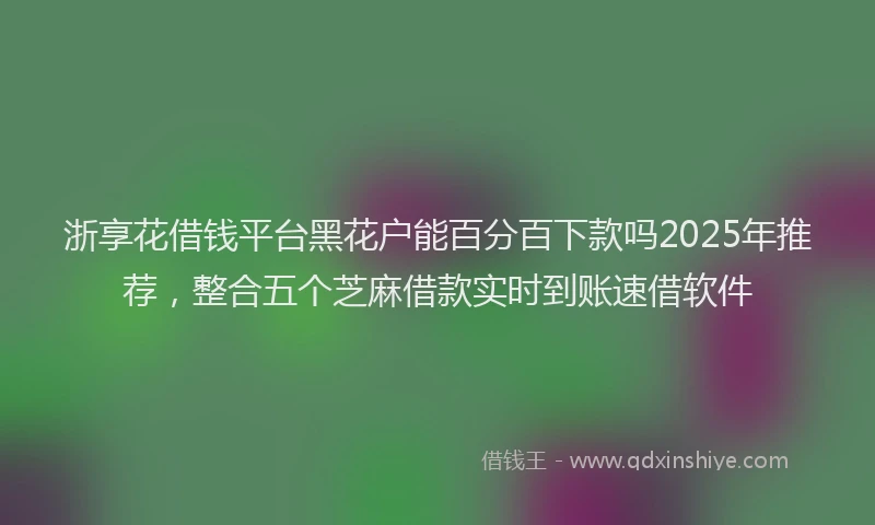 浙享花借钱平台黑花户能百分百下款吗2025年推荐，整合五个芝麻借款实时到账速借软件