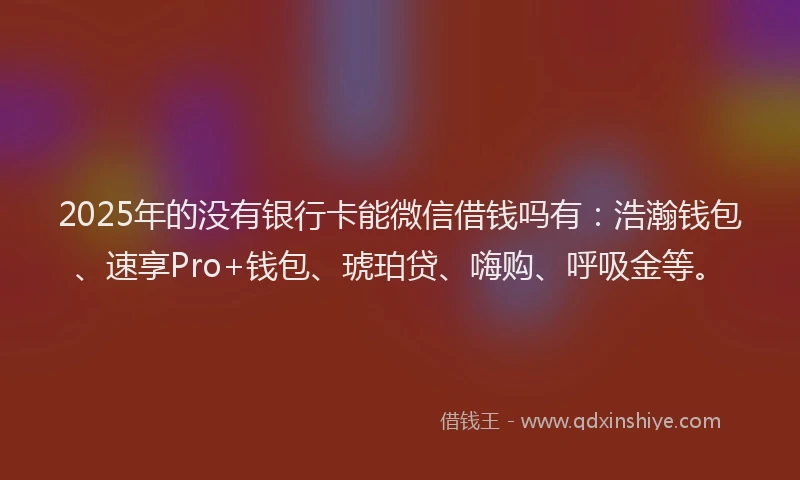2025年的没有银行卡能微信借钱吗有：浩瀚钱包、速享Pro+钱包、琥珀贷、嗨购、呼吸金等。