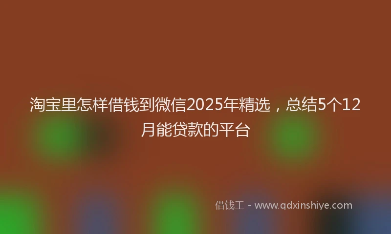 淘宝里怎样借钱到微信2025年精选，总结5个12月能贷款的平台