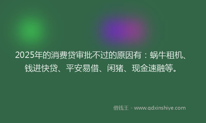 2025年的消费贷审批不过的原因有：蜗牛租机、钱进快贷、平安易借、闲猪、现金速融等。