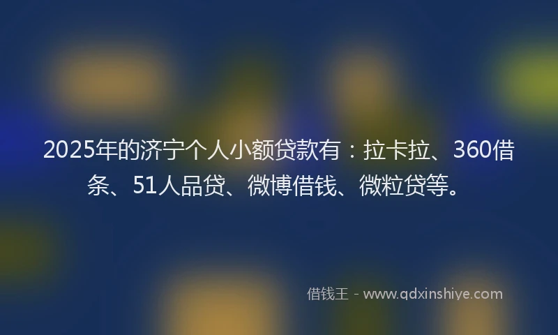 2025年的济宁个人小额贷款有：拉卡拉、360借条、51人品贷、微博借钱、微粒贷等。