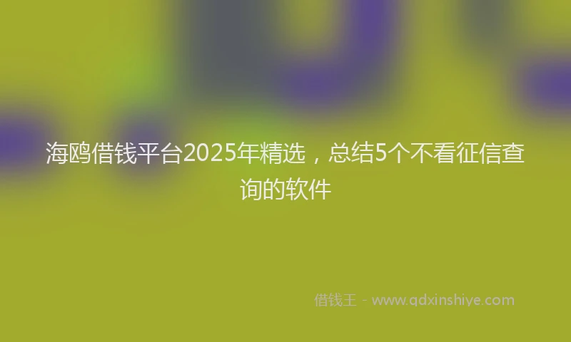 海鸥借钱平台2025年精选，总结5个不看征信查询的软件
