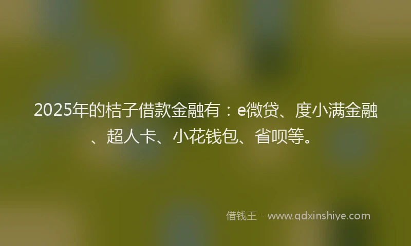 2025年的桔子借款金融有:e微贷、度小满金融、超人卡、小花钱包、省呗等。