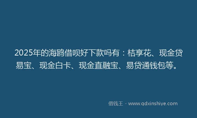 2025年的海鸥借呗好下款吗有：桔享花、现金贷易宝、现金白卡、现金直融宝、易贷通钱包等。