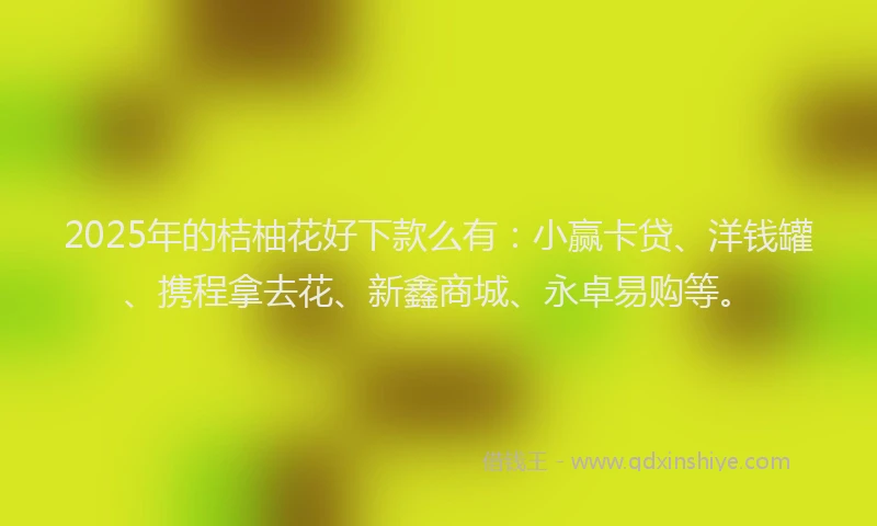 2025年的桔柚花好下款么有：小赢卡贷、洋钱罐、携程拿去花、新鑫商城、永卓易购等。