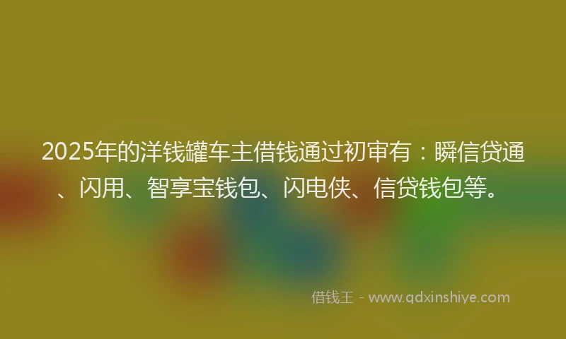 2025年的洋钱罐车主借钱通过初审有：瞬信贷通、闪用、智享宝钱包、闪电侠、信贷钱包等。