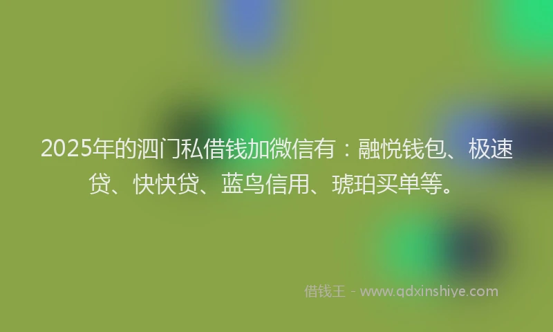 2025年的泗门私借钱加微信有：融悦钱包、极速贷、快快贷、蓝鸟信用、琥珀买单等。