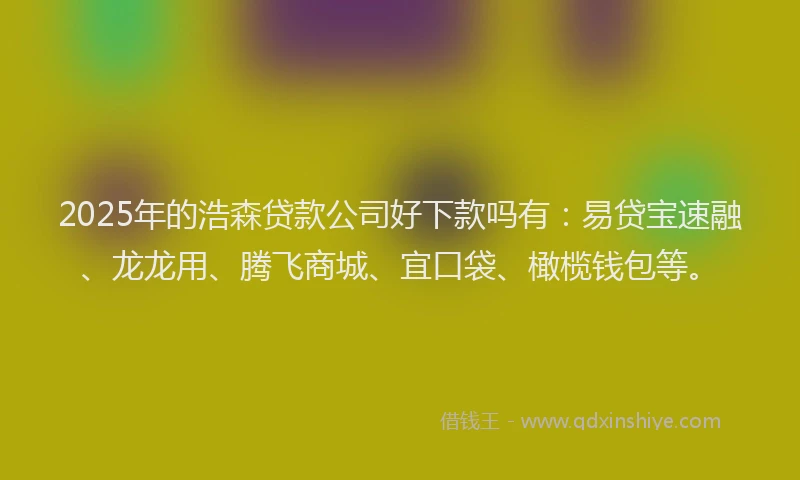 2025年的浩森贷款公司好下款吗有：易贷宝速融、龙龙用、腾飞商城、宜口袋、橄榄钱包等。