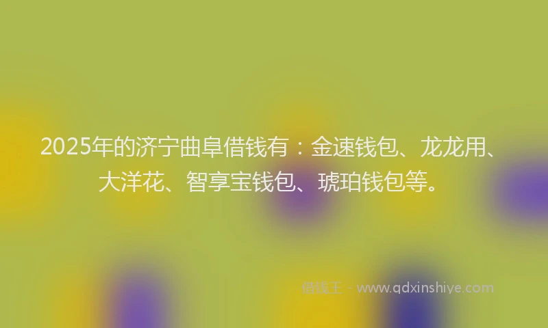 2025年的济宁曲阜借钱有：金速钱包、龙龙用、大洋花、智享宝钱包、琥珀钱包等。