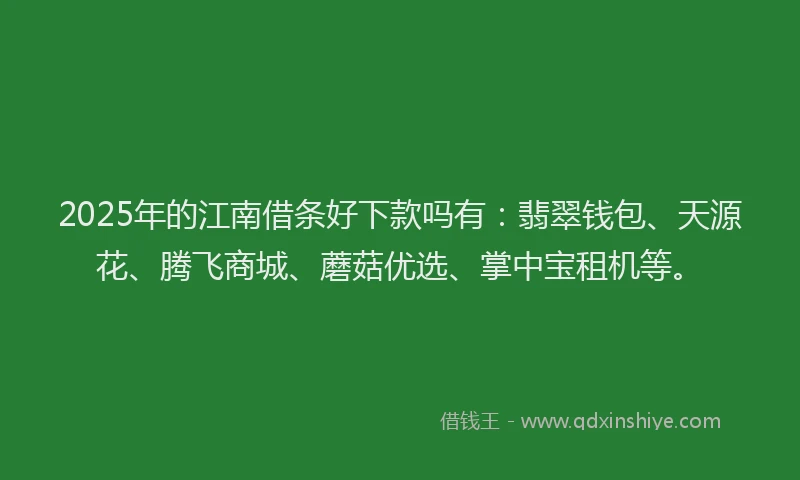 2025年的江南借条好下款吗有：翡翠钱包、天源花、腾飞商城、蘑菇优选、掌中宝租机等。