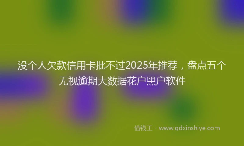 没个人欠款信用卡批不过2025年推荐，盘点五个无视逾期大数据花户黑户软件