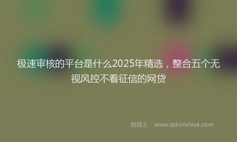 极速审核的平台是什么2025年精选，整合五个无视风控不看征信的网贷