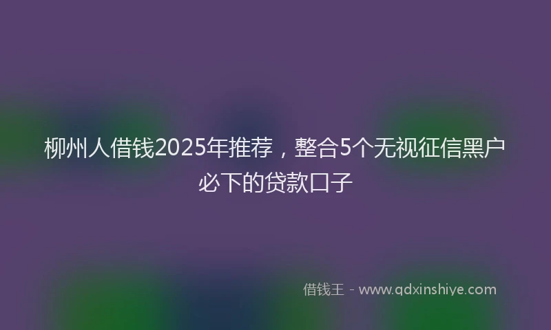 柳州人借钱2025年推荐，整合5个无视征信黑户必下的贷款口子