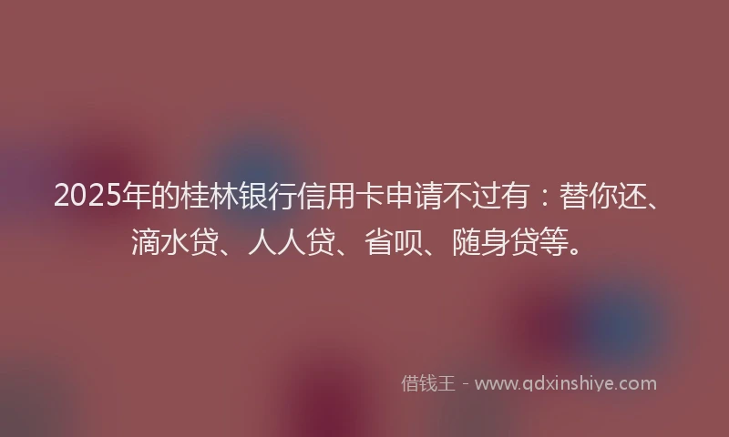2025年的桂林银行信用卡申请不过有：替你还、滴水贷、人人贷、省呗、随身贷等。