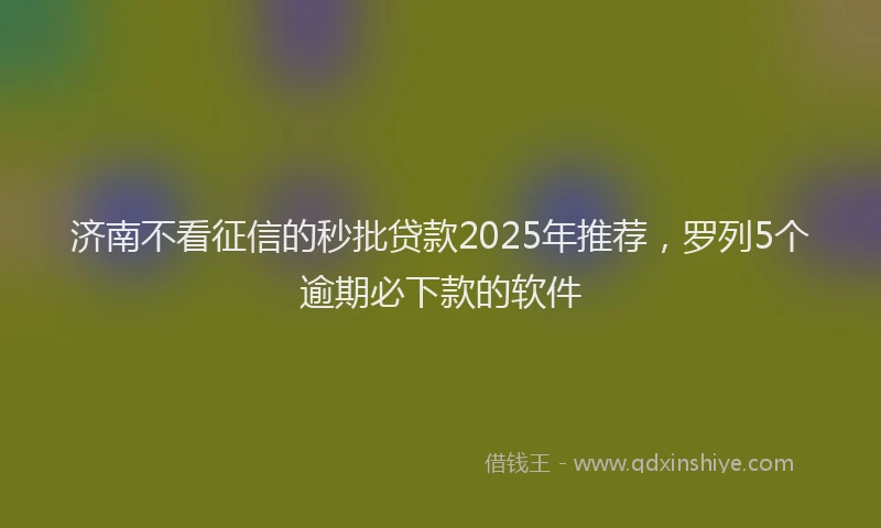 济南不看征信的秒批贷款2025年推荐，罗列5个逾期必下款的软件