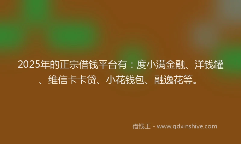 2025年的正宗借钱平台有：度小满金融、洋钱罐、维信卡卡贷、小花钱包、融逸花等。
