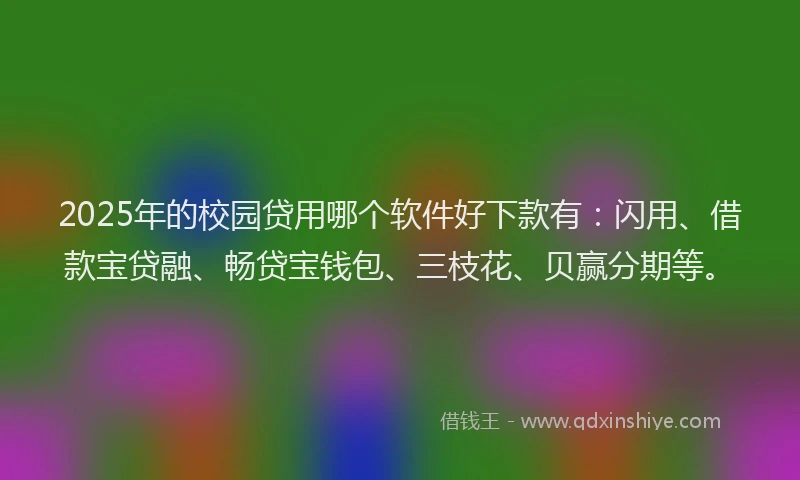 2025年的校园贷用哪个软件好下款有：闪用、借款宝贷融、畅贷宝钱包、三枝花、贝赢分期等。