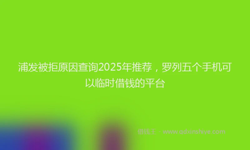 浦发被拒原因查询2025年推荐，罗列五个手机可以临时借钱的平台