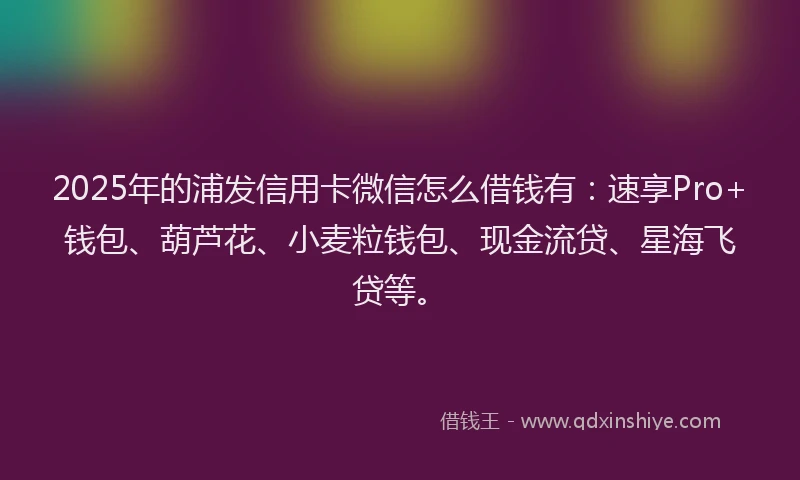 2025年的浦发信用卡微信怎么借钱有：速享Pro+钱包、葫芦花、小麦粒钱包、现金流贷、星海飞贷等。