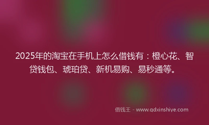 2025年的淘宝在手机上怎么借钱有：橙心花、智贷钱包、琥珀贷、新机易购、易秒通等。