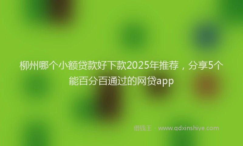 柳州哪个小额贷款好下款2025年推荐，分享5个能百分百通过的网贷app