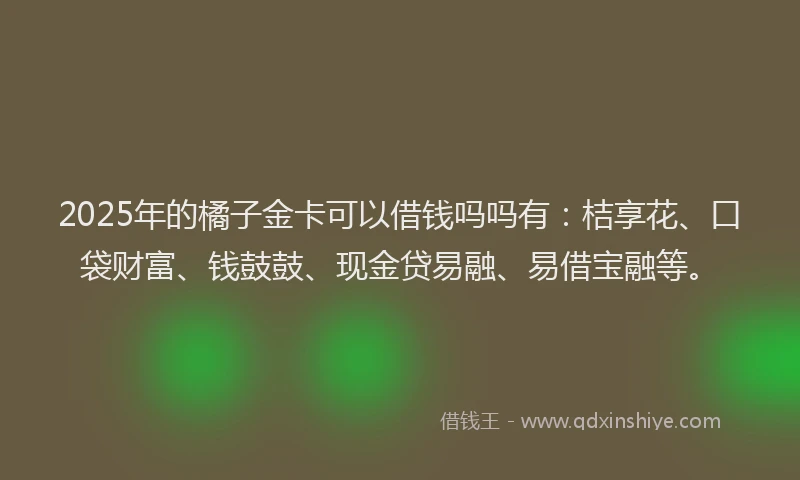 2025年的橘子金卡可以借钱吗吗有：桔享花、口袋财富、钱鼓鼓、现金贷易融、易借宝融等。