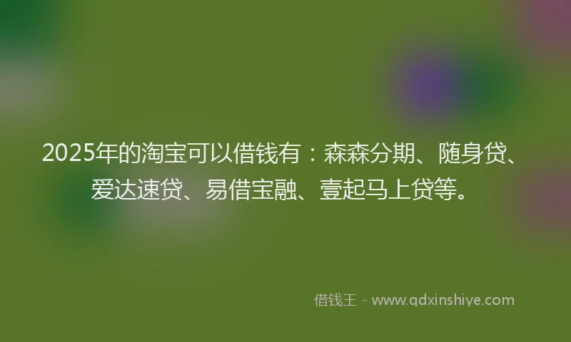 2025年的淘宝可以借钱有：森森分期、随身贷、爱达速贷、易借宝融、壹起马上贷等。