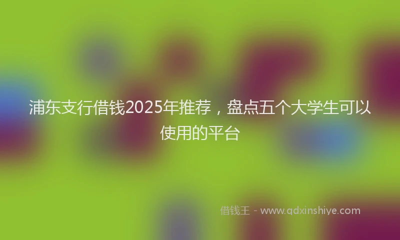 浦东支行借钱2025年推荐，盘点五个大学生可以使用的平台