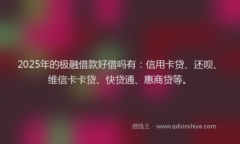2025年的极融借款好借吗有：信用卡贷、还呗、维信卡卡贷、快贷通、惠商贷等。