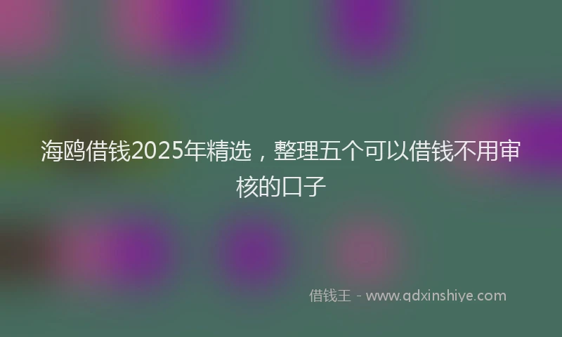 海鸥借钱2025年精选，整理五个可以借钱不用审核的口子