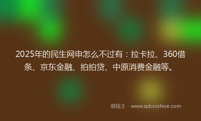2025年的民生网申怎么不过有：拉卡拉、360借条、京东金融、拍拍贷、中原消费金融等。