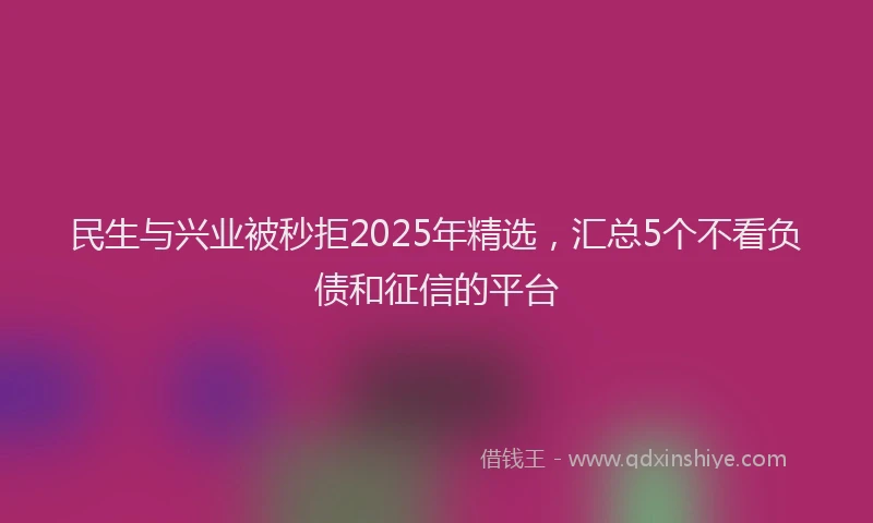 民生与兴业被秒拒2025年精选，汇总5个不看负债和征信的平台