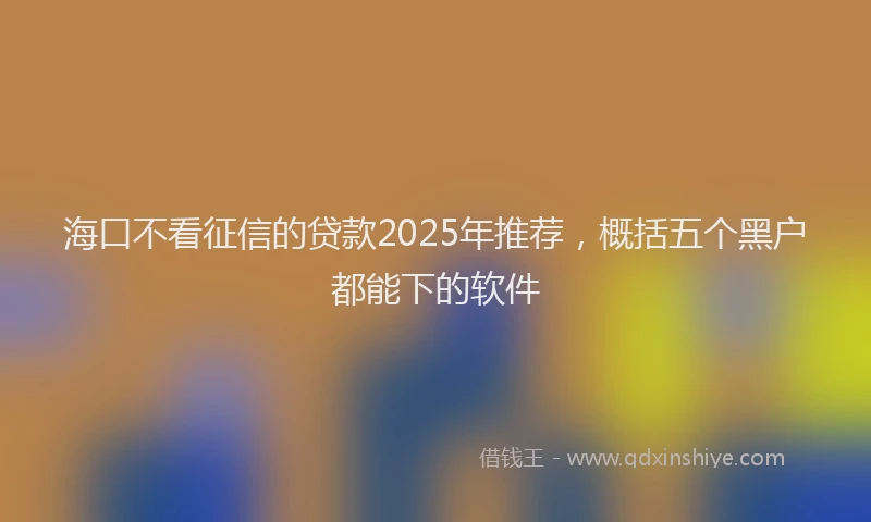 海口不看征信的贷款2025年推荐，概括五个黑户都能下的软件