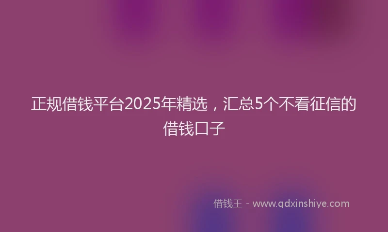 正规借钱平台2025年精选，汇总5个不看征信的借钱口子