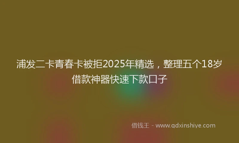 浦发二卡青春卡被拒2025年精选，整理五个18岁借款神器快速下款口子