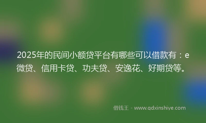 2025年的民间小额贷平台有哪些可以借款有：e微贷、信用卡贷、功夫贷、安逸花、好期贷等。