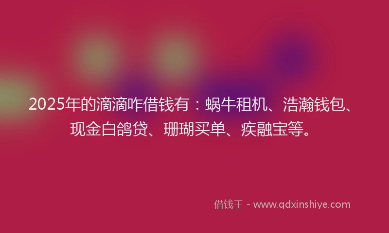 2025年的滴滴咋借钱有：蜗牛租机、浩瀚钱包、现金白鸽贷、珊瑚买单、疾融宝等。