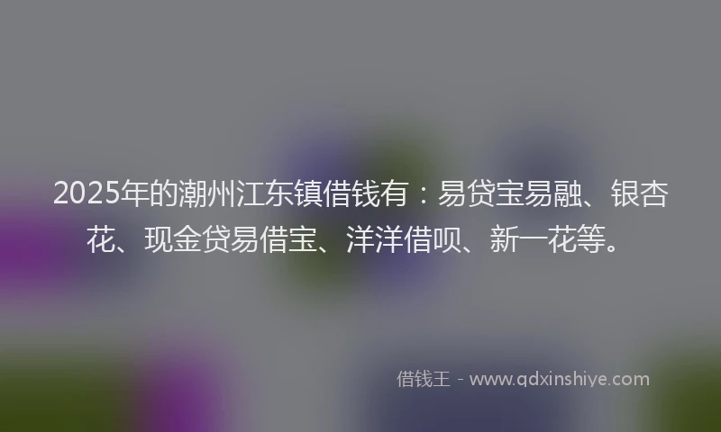 2025年的潮州江东镇借钱有：易贷宝易融、银杏花、现金贷易借宝、洋洋借呗、新一花等。